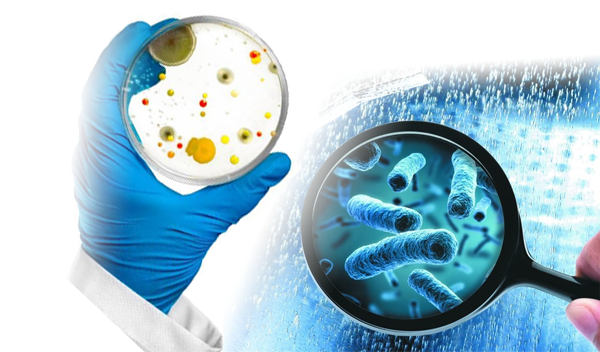 Water Testing Services Worldwide