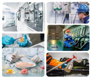 SAMPLING SERVICES
