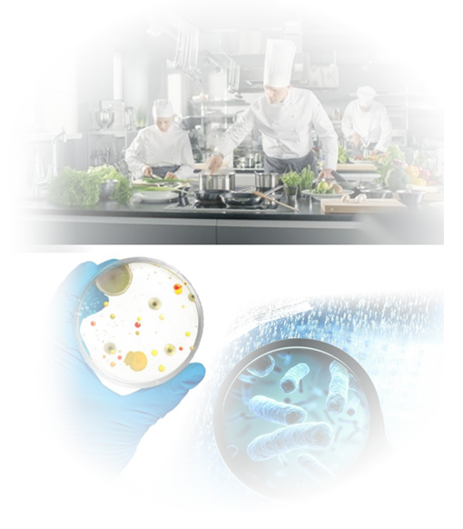Star Rating Hotels Testing for food and water